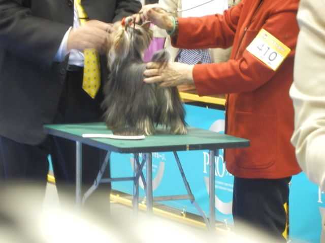 f0130894_14393435.jpg