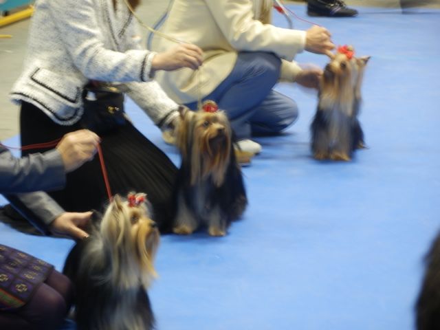 f0130894_14395181.jpg