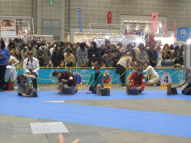 f0130894_14395848.jpg