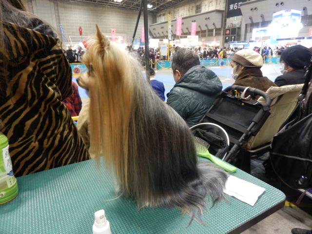 f0130894_1441824.jpg