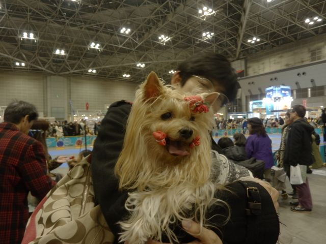 f0130894_14443197.jpg