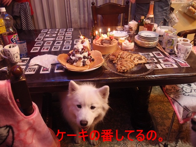 e0018604_19462232.jpg