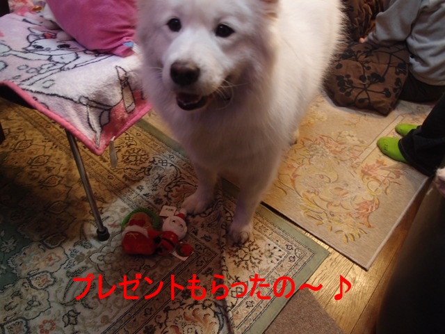 e0018604_19515925.jpg