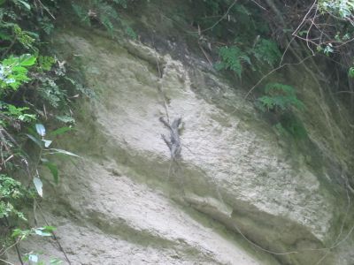 e0263905_7384041.jpg