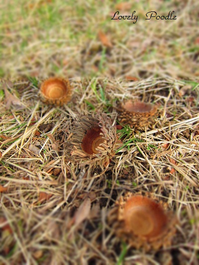 d0257606_2054530.jpg