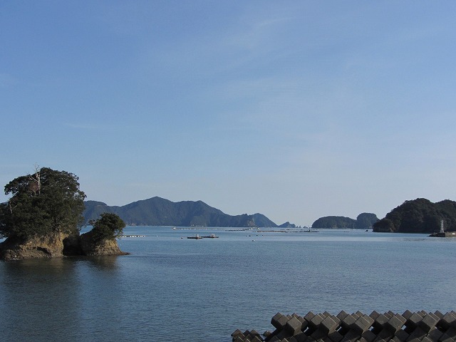 d0154609_13532297.jpg