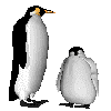 f0231709_22515827.gif