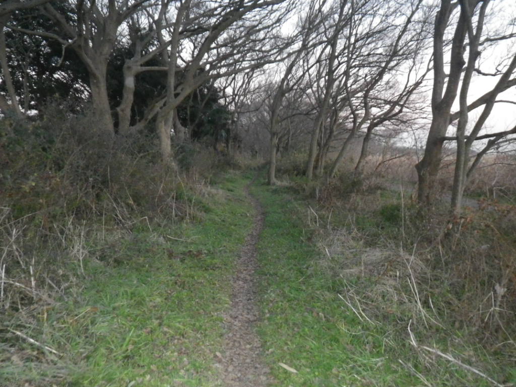 f0230410_21531848.jpg