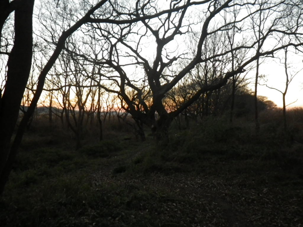 f0230410_21542296.jpg