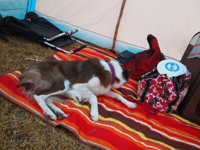 c0181414_0231742.jpg