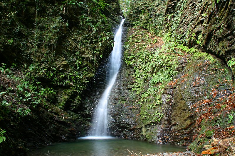 e0284019_19524371.jpg