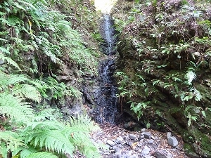 e0284019_20344020.jpg