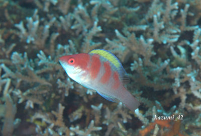 b0164920_043334.jpg