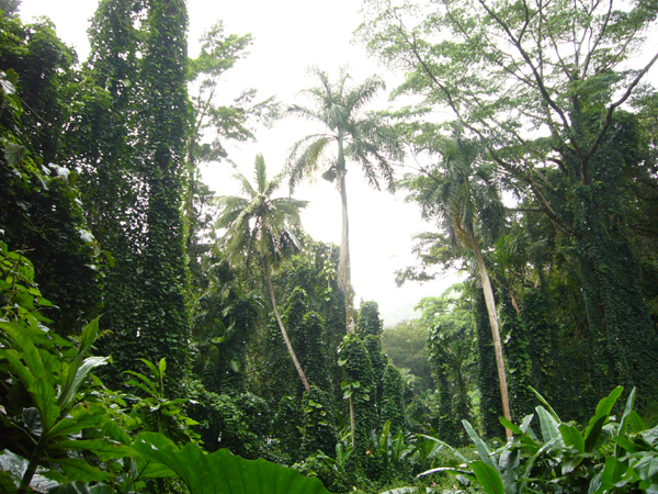 e0163721_9344677.jpg