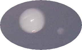 e0047322_18244245.jpg