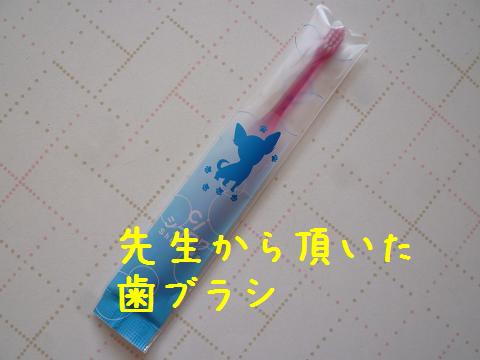 b0138430_9542026.jpg