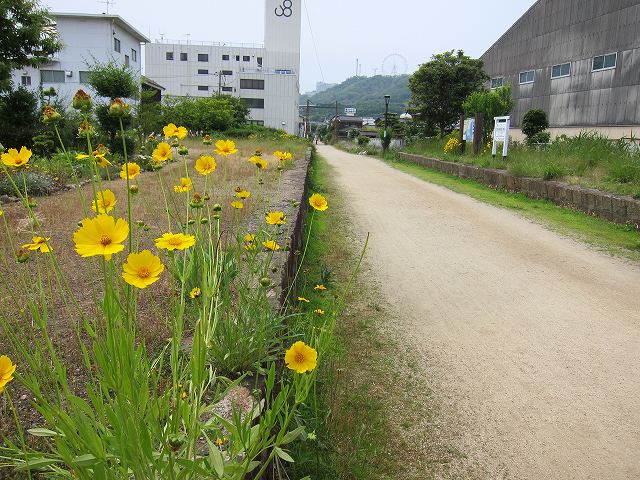 a0242438_19521566.jpg