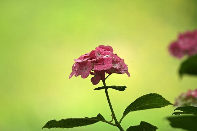 a0242438_19571285.jpg