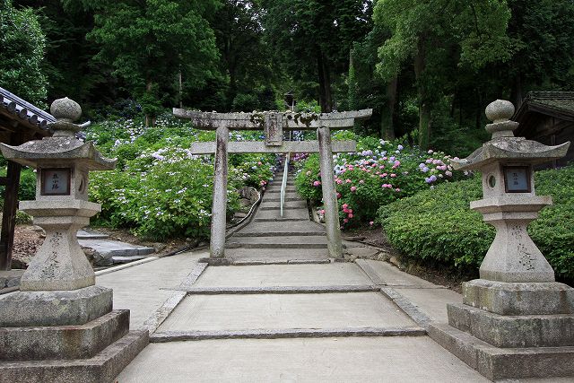 a0242438_19583444.jpg