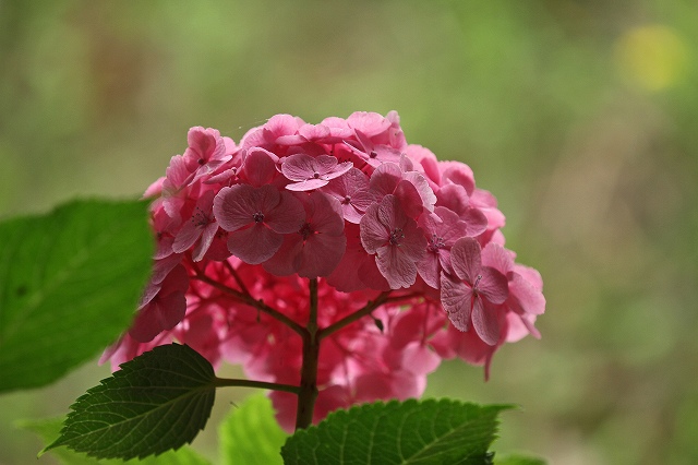 a0242438_19592597.jpg
