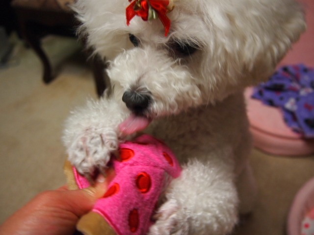 c0117239_824418.jpg