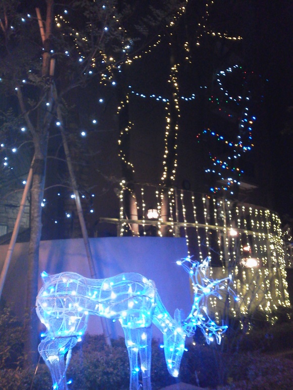 c0169239_8452836.jpg