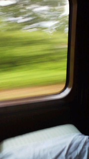 d0026341_171229.jpg