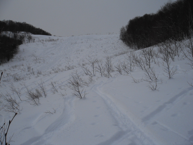 f0232845_1502843.jpg