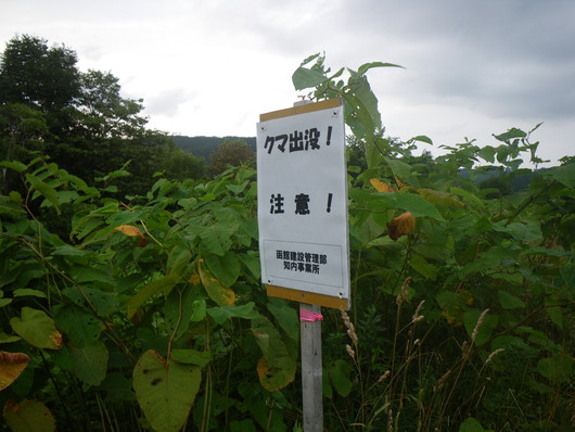 f0046250_0153690.jpg