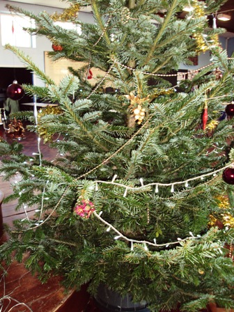 e0010856_1073738.jpg
