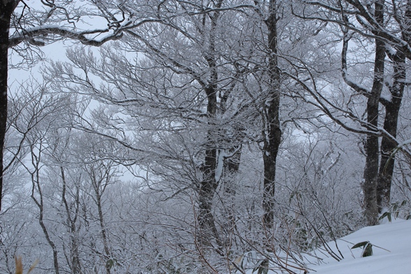 e0239458_1928016.jpg