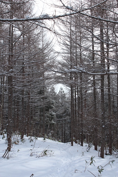 e0239458_19302795.jpg