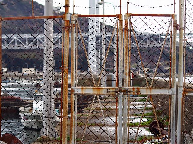 d0128465_917576.jpg