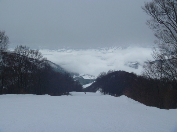b0164568_811765.jpg