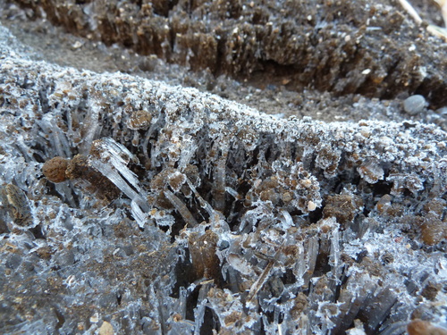 e0278968_2324137.jpg