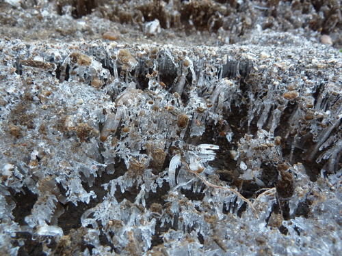 e0278968_2384544.jpg