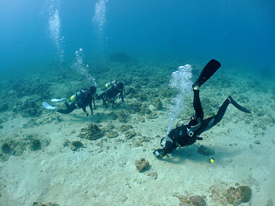 b0033573_20452476.jpg