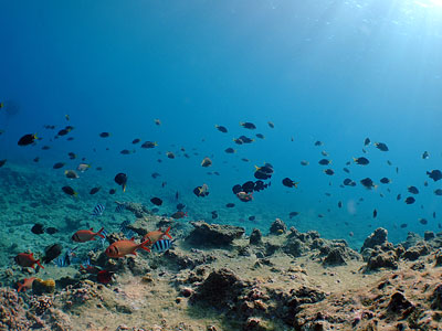 b0033573_20454256.jpg