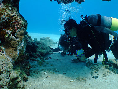 b0033573_2046638.jpg