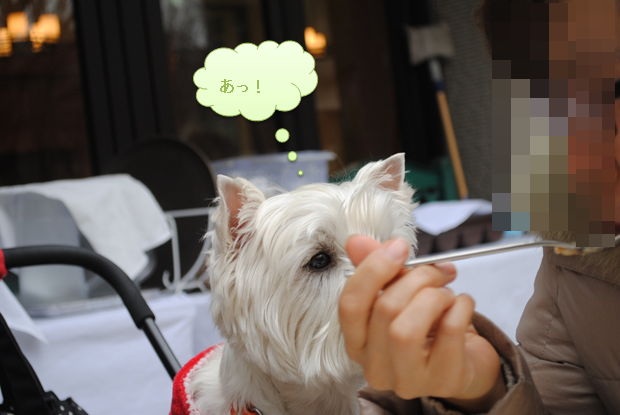 b0242873_010276.png