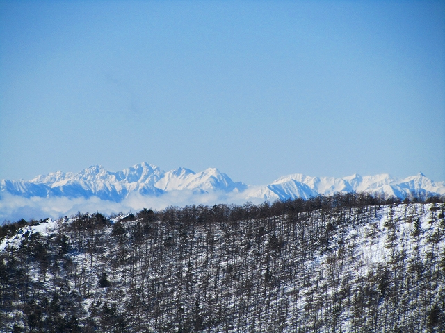 a0191674_1845161.jpg