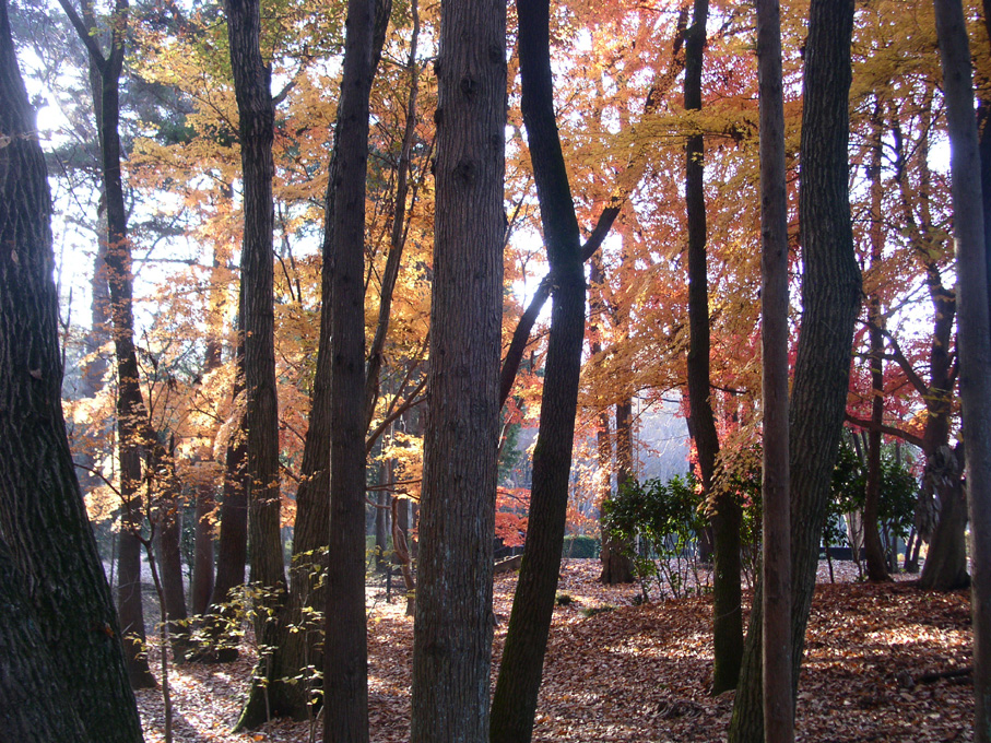 e0118274_20313836.jpg
