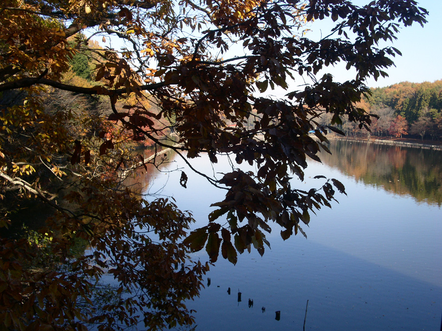 e0118274_20383765.jpg