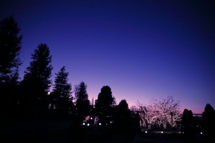 c0268775_902063.jpg
