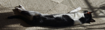 f0054677_7105740.jpg