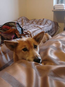 e0012580_123010.jpg