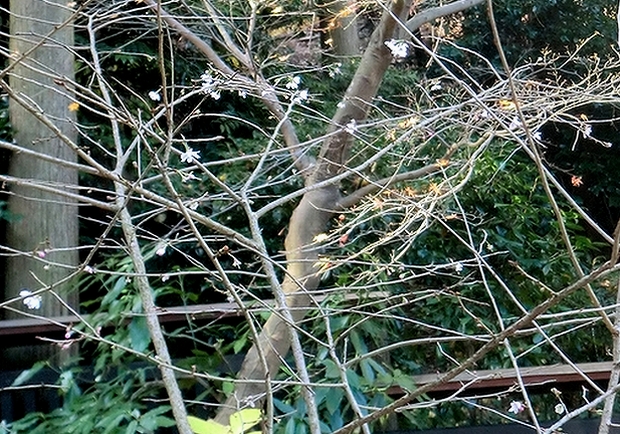 e0143690_928424.jpg