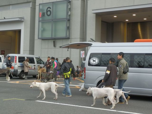 f0130894_21122069.jpg