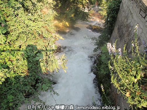 c0010496_7342299.jpg