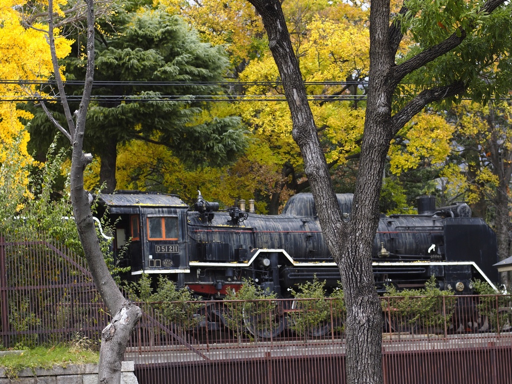 b0138101_21492137.jpg